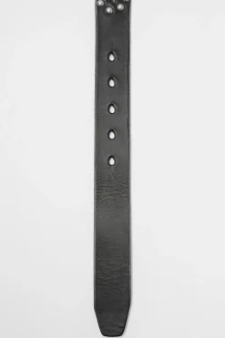 Black Bridle