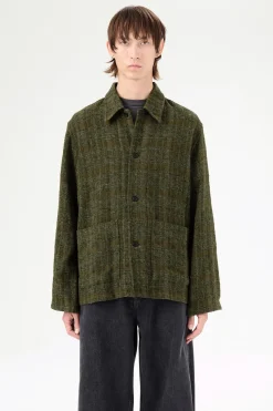 Seaweed Sparse Check