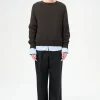 University Brown Rustic Merino